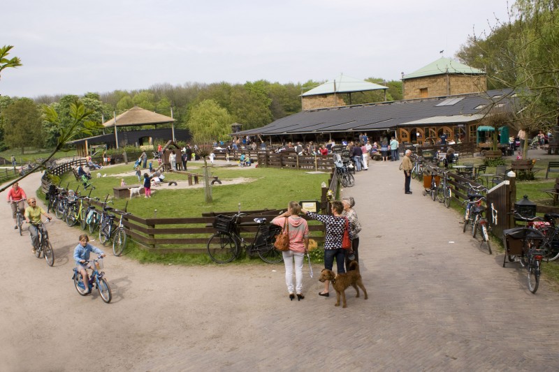 10x De leukste voordelige uitjes met kinderen in Noord-Holland